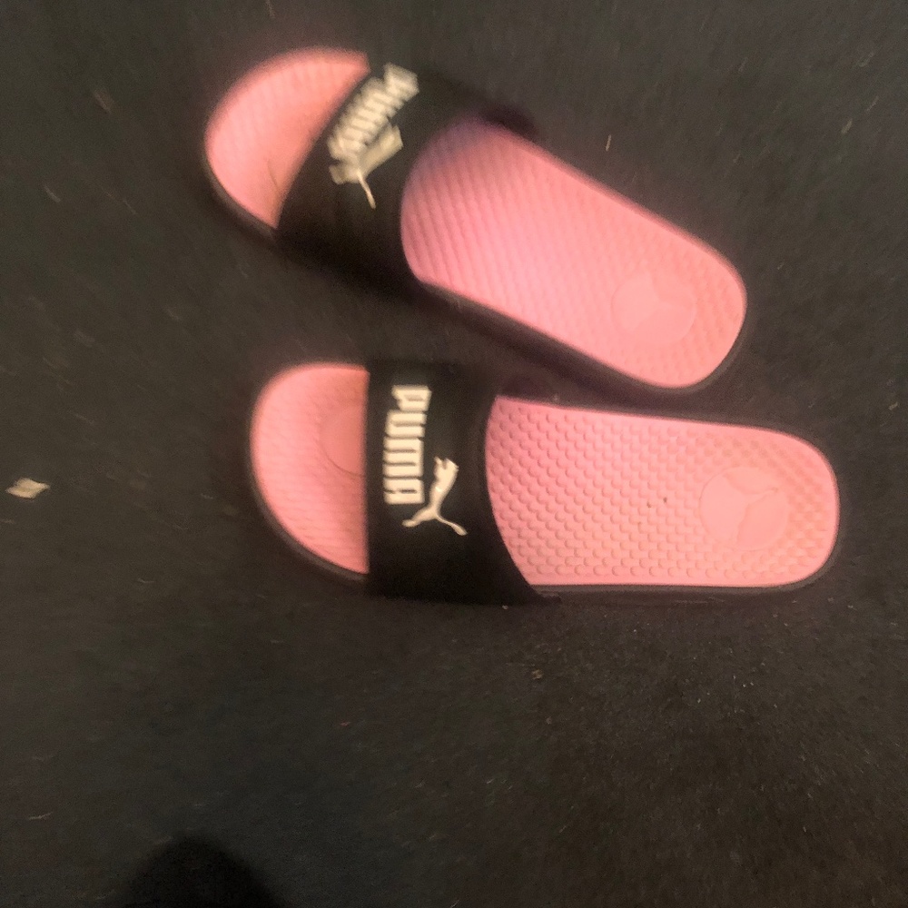 Puma
